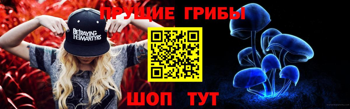 Галлюциногенные грибы GOLDEN TEACHER  Сибай  Галлюциногенные грибы Psilocybe 